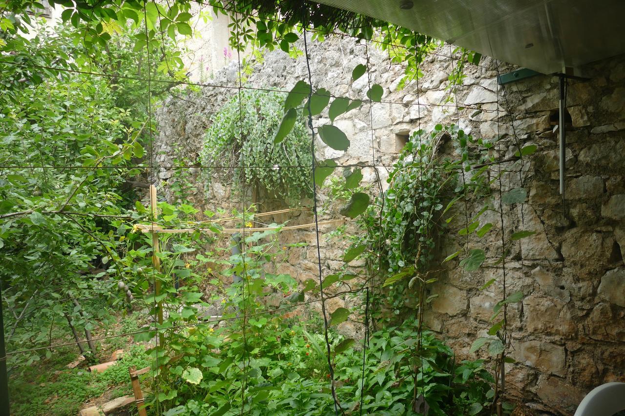 מאקרסקה Villa Abeona מראה חיצוני תמונה
